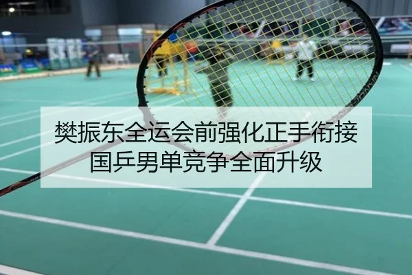 樊振东全运会前强化正手衔接 国乒男单竞争全面升级